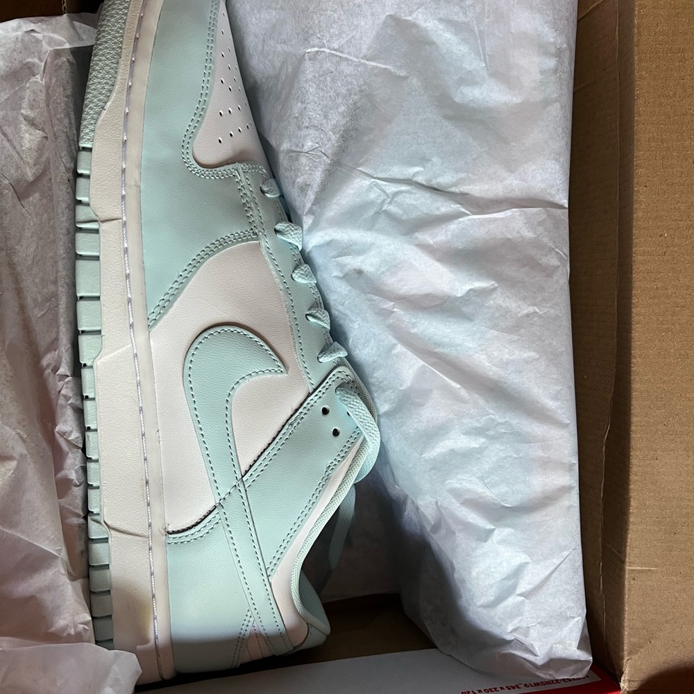 Nike Dunk Low Retro Sneakers - White and Blue